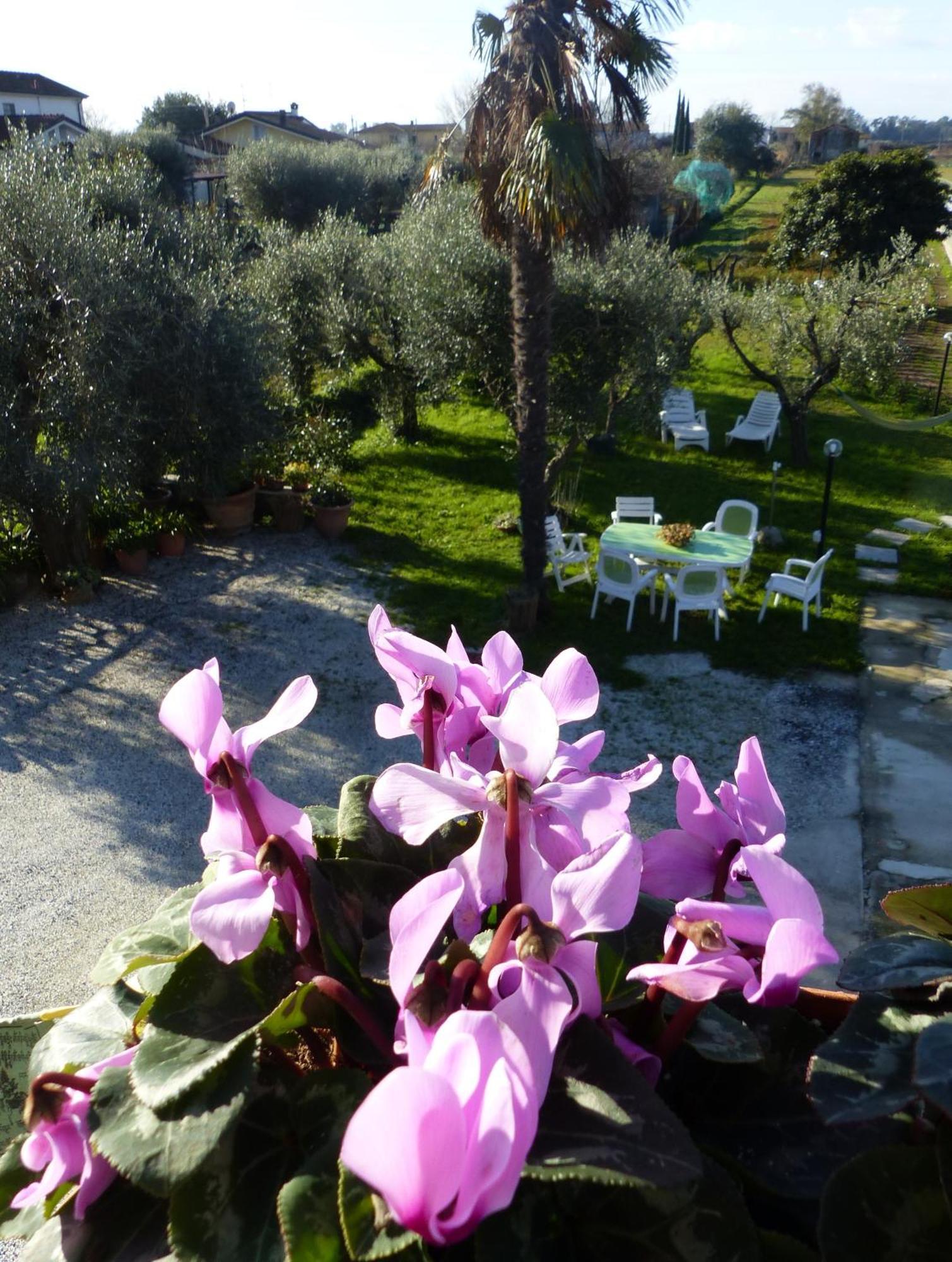 Apartamento La Casa Di Silvia Massarosa Exterior foto